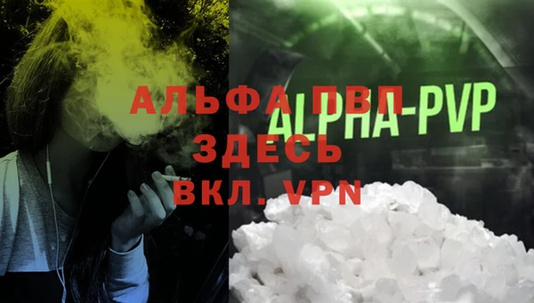 ECSTASY Пестово