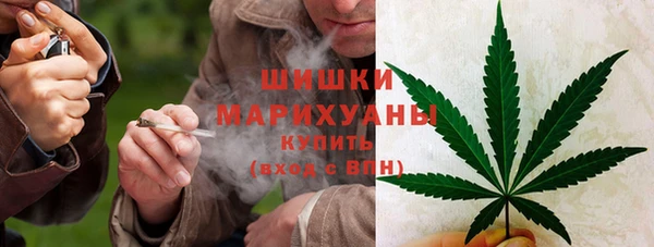 тгк Пересвет