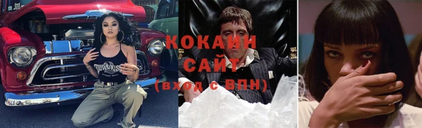 тгк Пересвет