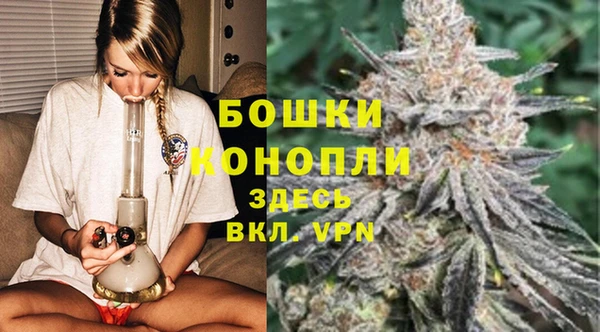 тгк Пересвет