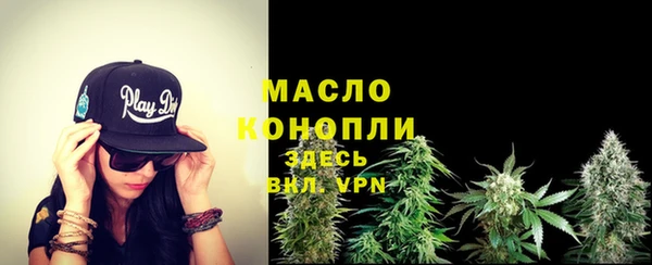 тгк Пересвет