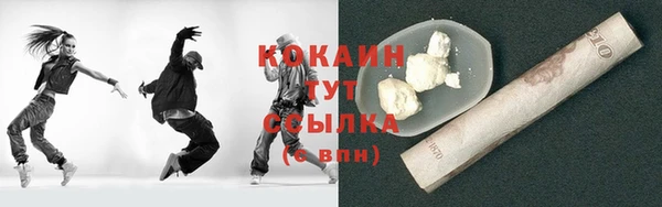 тгк Пересвет