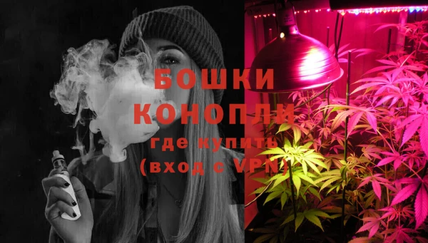 соль ск Переславль-Залесский