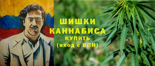 соль ск Переславль-Залесский