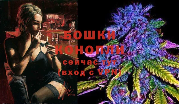 ECSTASY Пестово