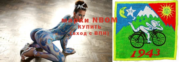 тгк Пересвет